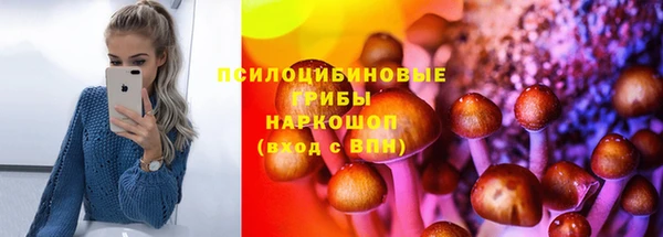 синтетический гашиш Алексеевка