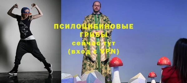 синтетический гашиш Алексеевка
