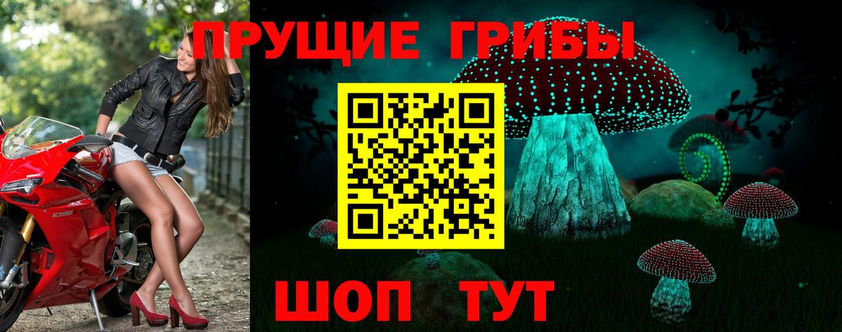 Псилоцибиновые грибы Psilocybine cubensis  Вход с VPN  Похвистнево 